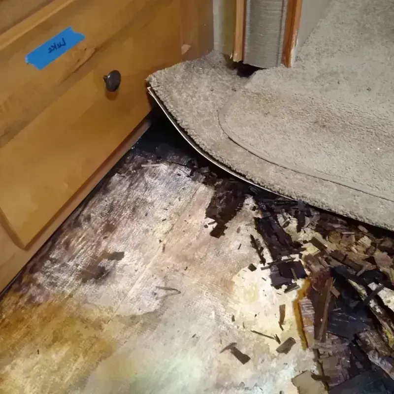 Wood Floor Water Damage in Kent, OH